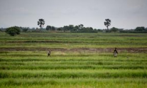 Photo: Sala Lewis / CSIS